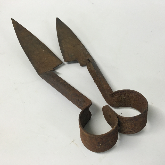 TOOL, Hand Tool - Rusted Wool Shears